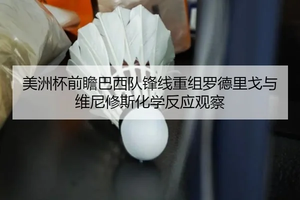美洲杯前瞻巴西队锋线重组罗德里戈与维尼修斯化学反应观察 - kaiyun